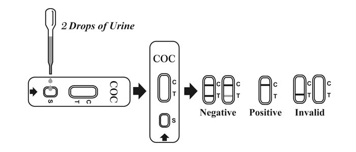 Test Procedure of Cocaine Rapid Test 
