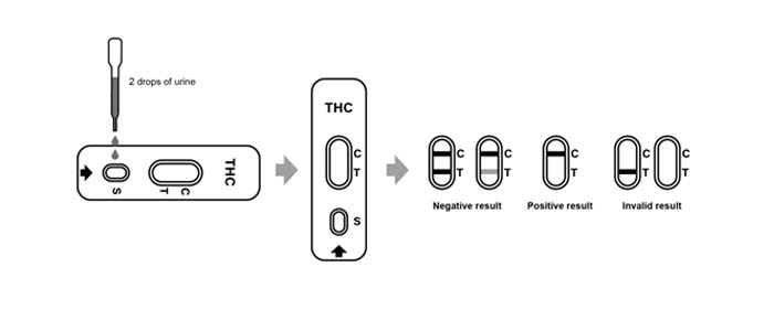 Test Procedure of Marijuana (THC) Rapid Test
