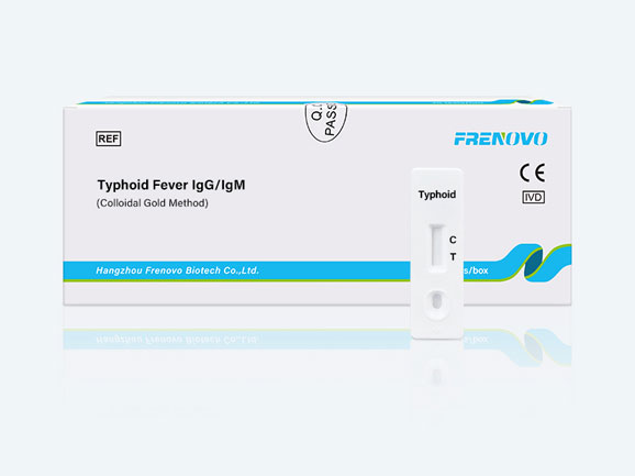 Typhoid Fever IgG/IgM Rapid Test