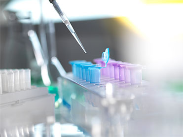 Polyclonal Antibody Preparation Process