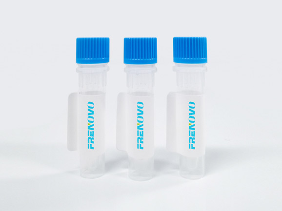 h-FABP Antibody & Antigen