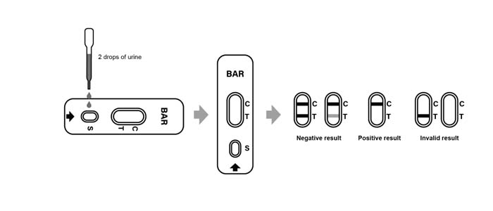 Test Procedure of Barbiturate (BAR)Rapid Test 