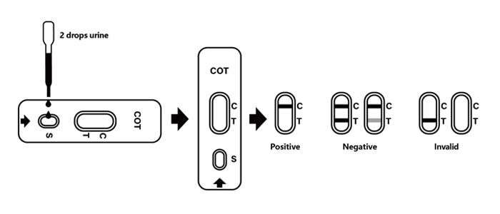Test Procedure of Cotinine (COT) Rapid Test Kit