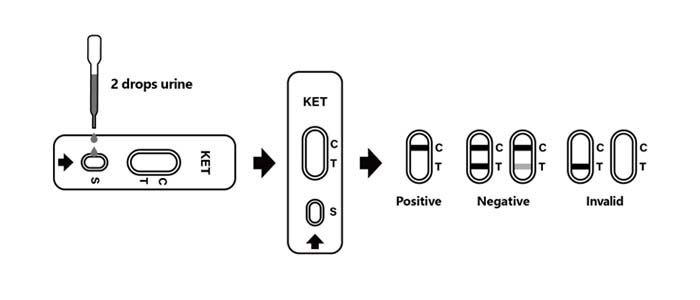 Test Procedure of Ketamine (KET) Rapid Test Kit