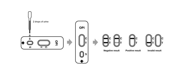 Test Procedure of Opiate (OPI) Rapid Test