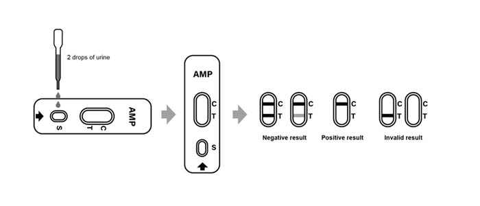 Test Procedure of Amphetamine (AMP)Rapid Test