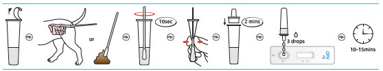 Test-Procedures-3.jpg