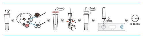 Test-Procedures.jpg