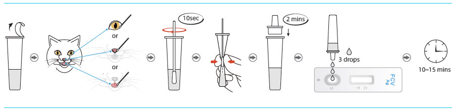 Test-Procedures3.jpg