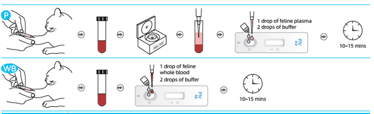 Test_Procedures-2.jpg