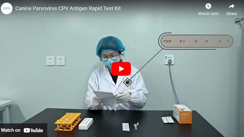 Canine Parvovirus (CPV) Antigen Rapid Test Kit